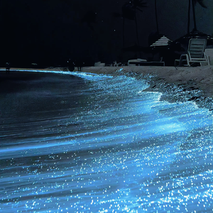 六十路熟女田舍交尾
